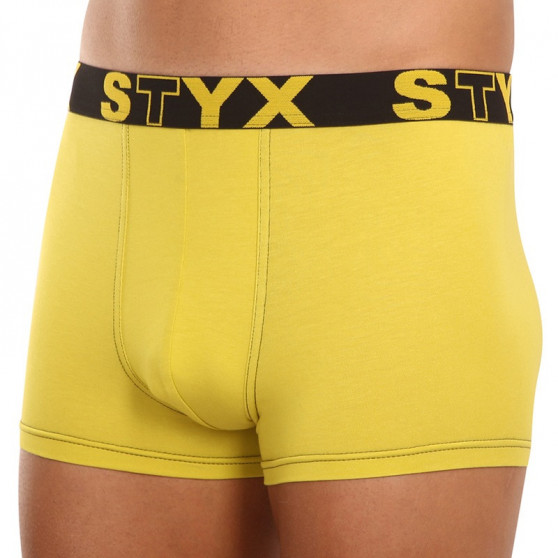 Boxershorts för herrar Styx sport gummi grön och gul (G1065)