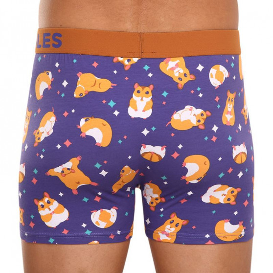 Glada boxershorts för herrar Dedoles Hamster (GMMT1128)