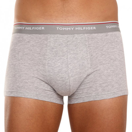 3PACK Boxershorts för herrar Tommy Hilfiger multicolour (1U87903841 004)