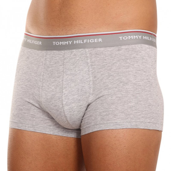 3PACK Boxershorts för herrar Tommy Hilfiger multicolour (1U87903841 004)