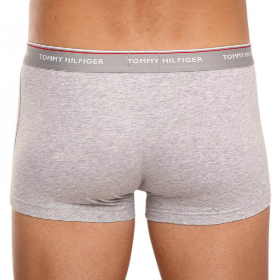 3PACK Boxershorts för herrar Tommy Hilfiger multicolour (1U87903841 004)