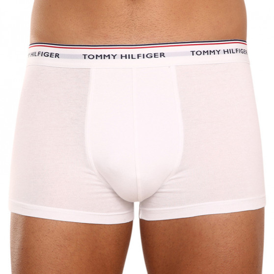 3PACK Boxershorts för herrar Tommy Hilfiger multicolour (1U87903841 004)