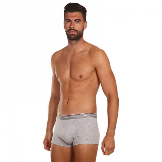 3PACK Boxershorts för herrar Tommy Hilfiger multicolour (1U87903841 004)