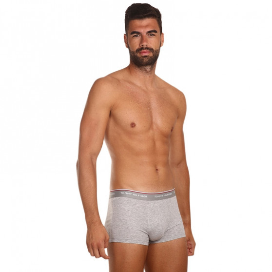 3PACK Boxershorts för herrar Tommy Hilfiger multicolour (1U87903841 004)