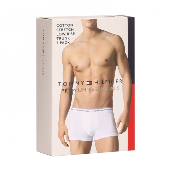 3PACK Boxershorts för herrar Tommy Hilfiger multicolour (1U87903841 004)