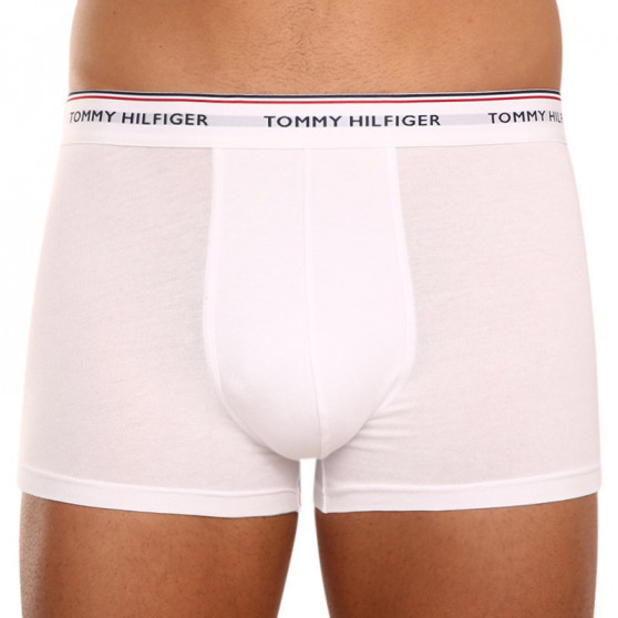 3PACK Boxershorts för herrar Tommy Hilfiger multicolour (1U87903842 004)