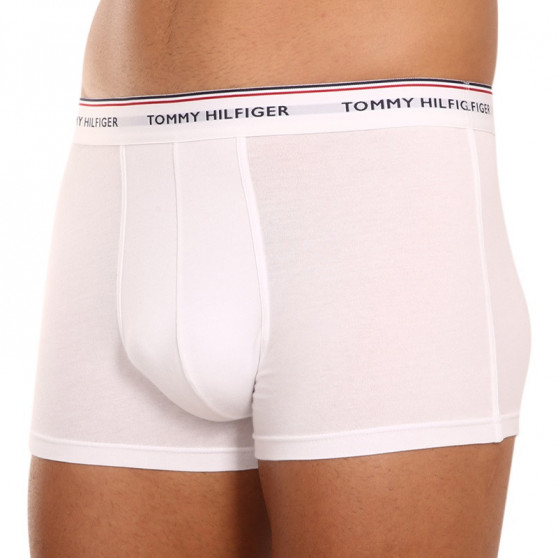 3PACK Boxershorts för herrar Tommy Hilfiger multicolour (1U87903842 004)