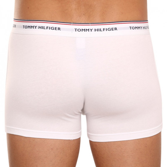 3PACK Boxershorts för herrar Tommy Hilfiger multicolour (1U87903842 004)