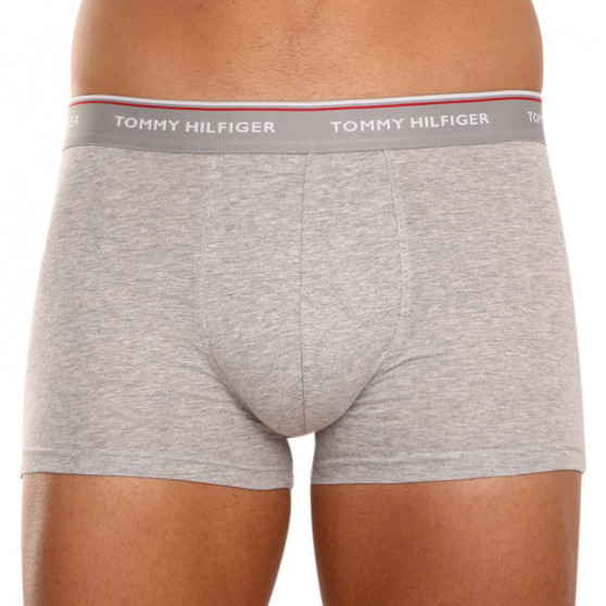 3PACK Boxershorts för herrar Tommy Hilfiger multicolour (1U87903842 004)