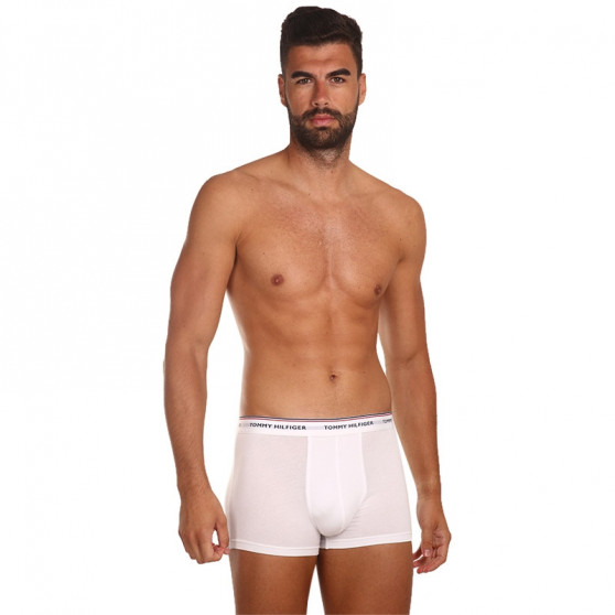 3PACK Boxershorts för herrar Tommy Hilfiger multicolour (1U87903842 004)