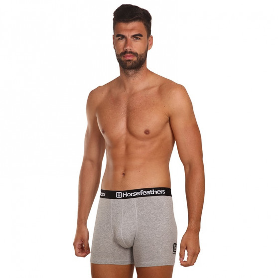 3PACK Boxershorts för herrar Horsefeathers Dynasty heather grey (AM067C)