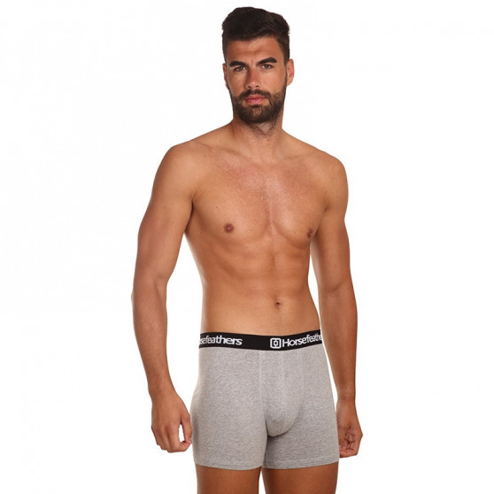 3PACK Boxershorts för herrar Horsefeathers Dynasty heather grey (AM067C)