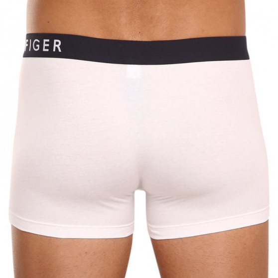 3PACK Boxershorts för herrar Tommy Hilfiger multicolour (UM0UM01234 0SA)