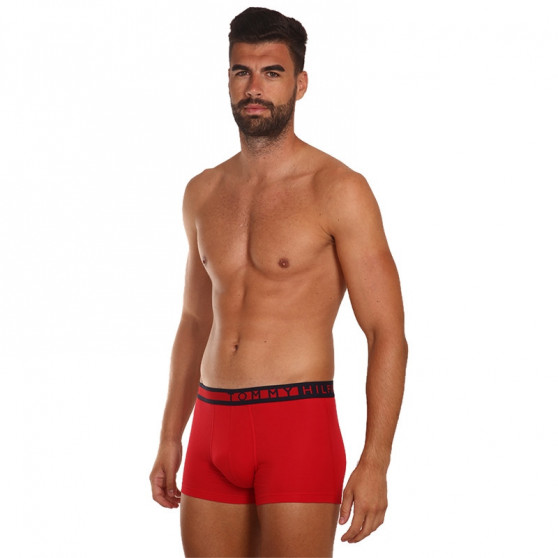 3PACK Boxershorts för herrar Tommy Hilfiger multicolour (UM0UM01234 0XY)