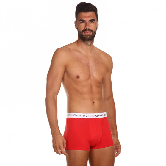 3PACK Boxershorts för herrar Gant multicolour (3003-105)