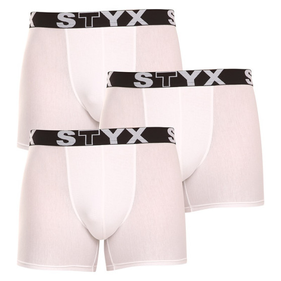 3PACK boxershorts för män Styx lång sport elastisk (U10616161)