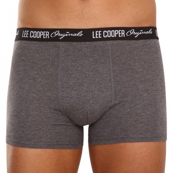 10PACK Boxershorts för herrar Lee Cooper multicolour (LCUBOX10P0102-1440169)