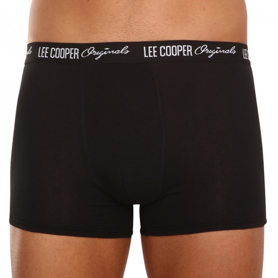 10PACK Boxershorts för herrar Lee Cooper multicolour (LCUBOX10P0102-1440169)