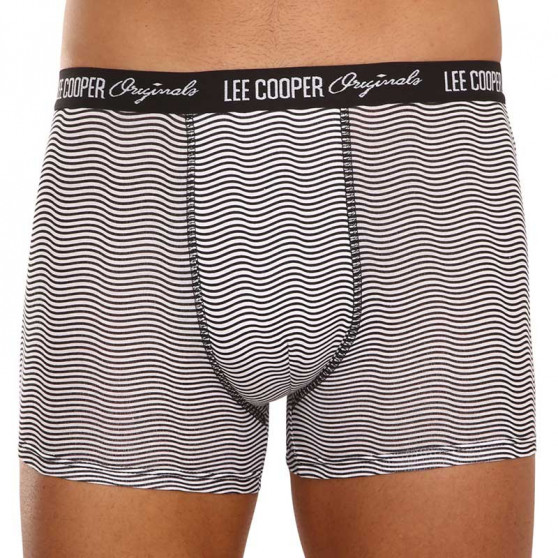 10PACK Boxershorts för herrar Lee Cooper multicolour (LCUBOX10P0102-1440169)