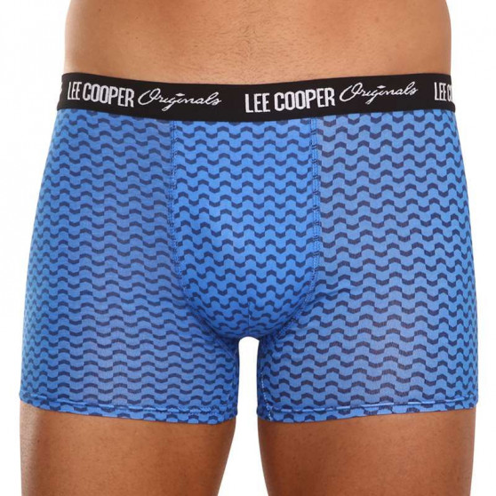 10PACK Boxershorts för herrar Lee Cooper multicolour (LCUBOX10P0103-1769862)