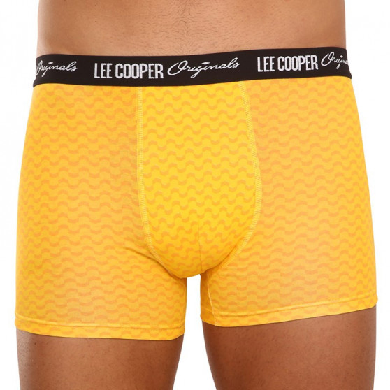 10PACK Boxershorts för herrar Lee Cooper multicolour (LCUBOX10P0103-1769862)