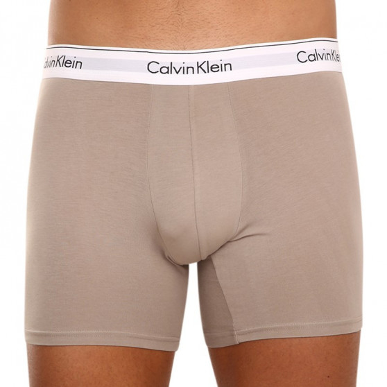 3PACK Boxershorts för herrar Calvin Klein multicolour (NB2381A-67A)