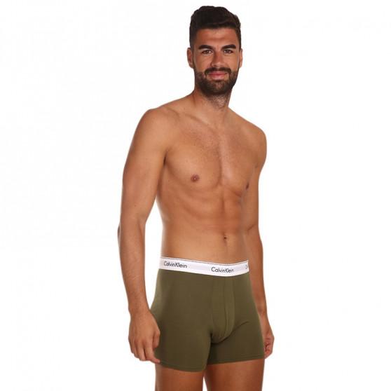 3PACK Boxershorts för herrar Calvin Klein multicolour (NB2381A-67A)