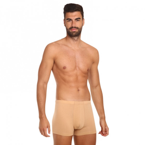 Osynliga boxershorts för män Covert beige (153096-410)