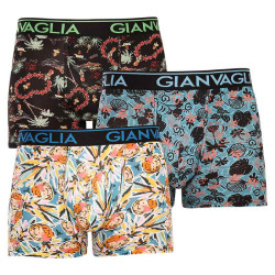 3PACK Boxershorts för herrar Gianvaglia multicolour (GVG-5502)