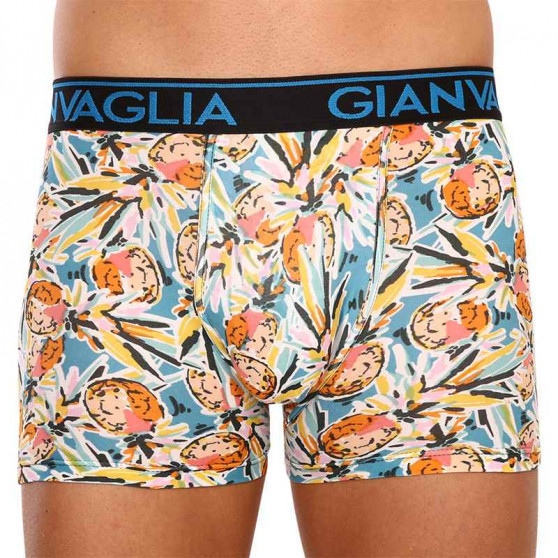 3PACK Boxershorts för herrar Gianvaglia multicolour (GVG-5502)