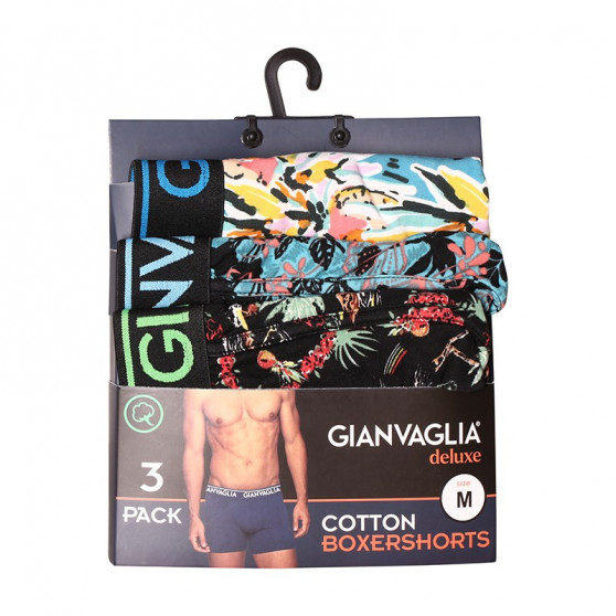 3PACK Boxershorts för herrar Gianvaglia multicolour (GVG-5502)