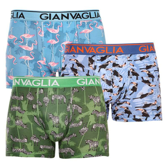 3PACK Boxershorts för herrar Gianvaglia multicolour (GVG-5501)