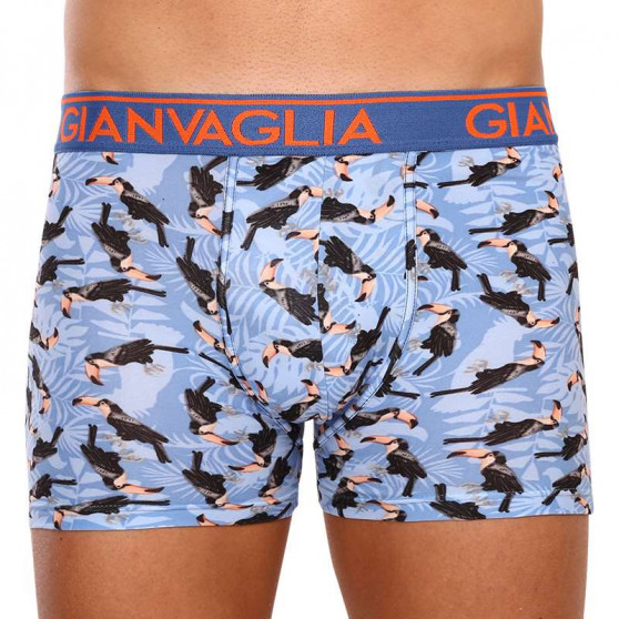 3PACK Boxershorts för herrar Gianvaglia multicolour (GVG-5501)