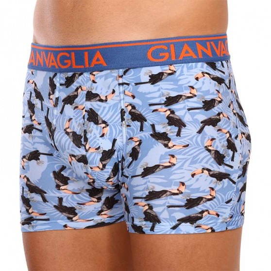 3PACK Boxershorts för herrar Gianvaglia multicolour (GVG-5501)