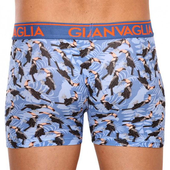 3PACK Boxershorts för herrar Gianvaglia multicolour (GVG-5501)