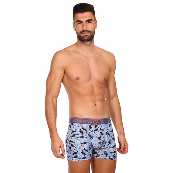 3PACK Boxershorts för herrar Gianvaglia multicolour (GVG-5501)