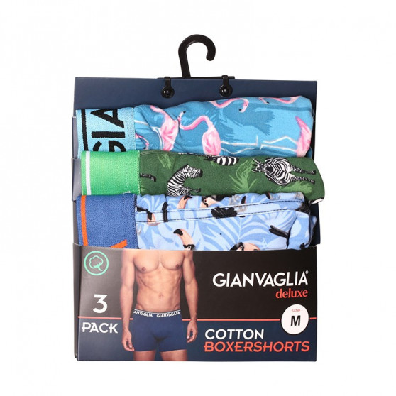 3PACK Boxershorts för herrar Gianvaglia multicolour (GVG-5501)