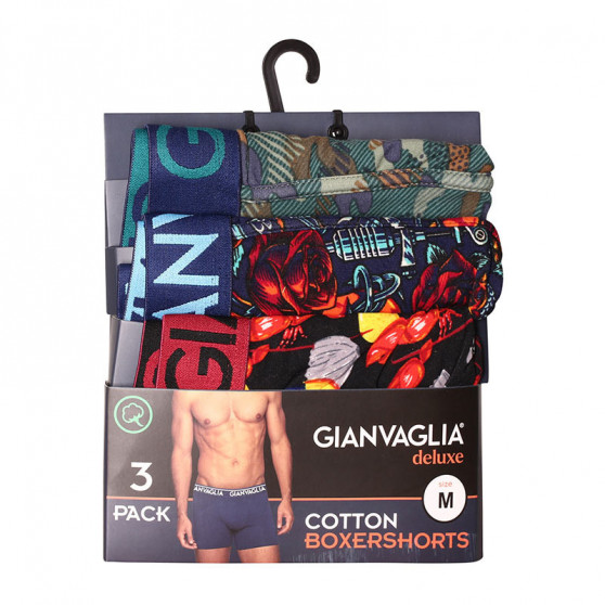 3PACK Boxershorts för herrar Gianvaglia multicolour (GVG-5506)