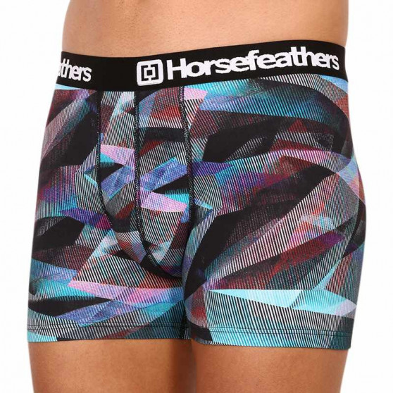 Boxershorts för herrar Horsefeathers Sidney Glitch (AM164E)