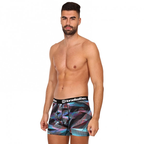 Boxershorts för herrar Horsefeathers Sidney Glitch (AM164E)