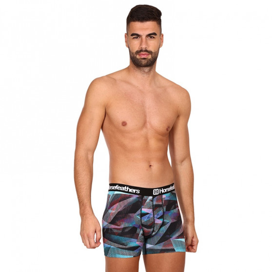 Boxershorts för herrar Horsefeathers Sidney Glitch (AM164E)