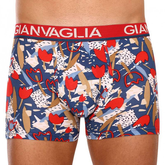 5PACK Boxershorts för herrar Gianvaglia multicolour (GVG-5063)