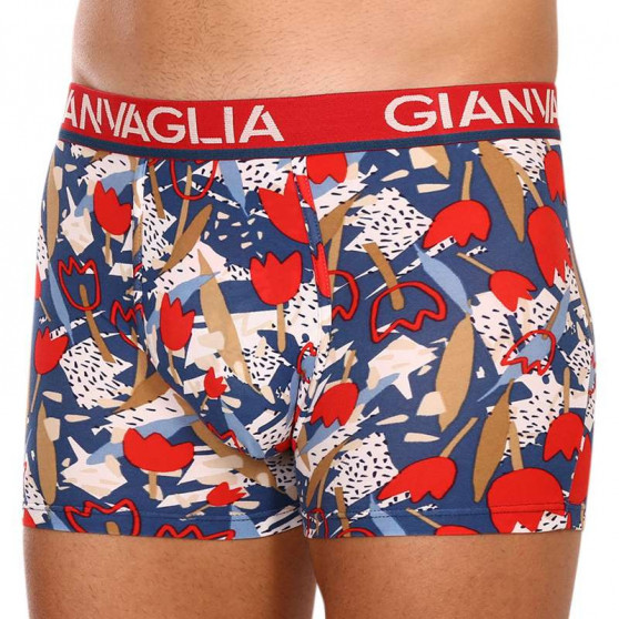 5PACK Boxershorts för herrar Gianvaglia multicolour (GVG-5063)