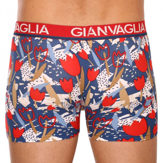 5PACK Boxershorts för herrar Gianvaglia multicolour (GVG-5063)