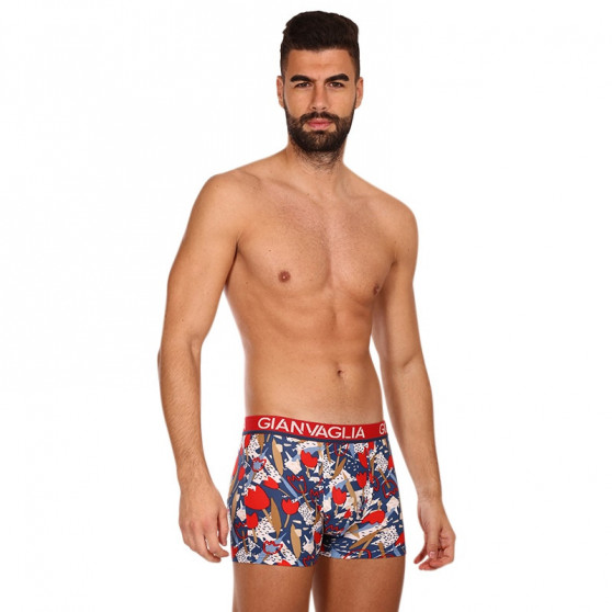 5PACK Boxershorts för herrar Gianvaglia multicolour (GVG-5063)