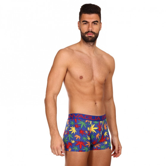 3PACK Boxershorts för herrar Gianvaglia multicolour (GVG-5058)