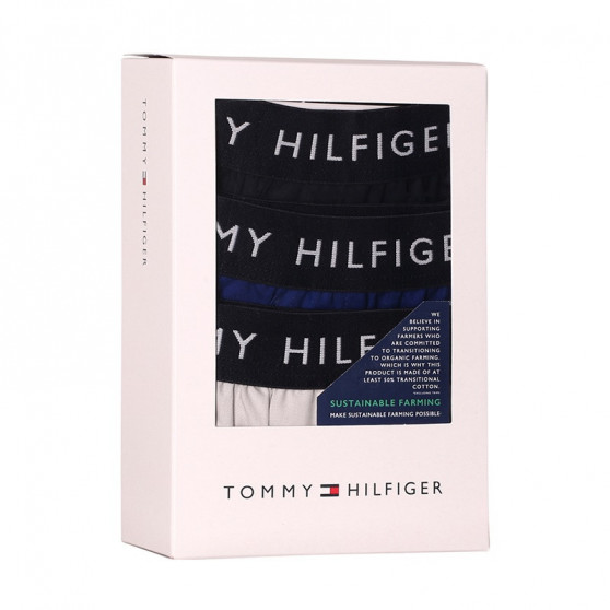 3PACKBoxershorts för herrar Tommy Hilfiger flerfärgad (UM0UM02327 0UK)