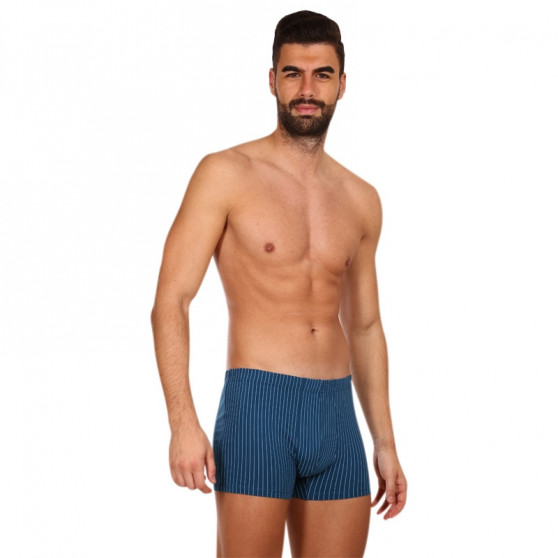 Boxershorts för herrar Andrie blå (PS 5649 A)