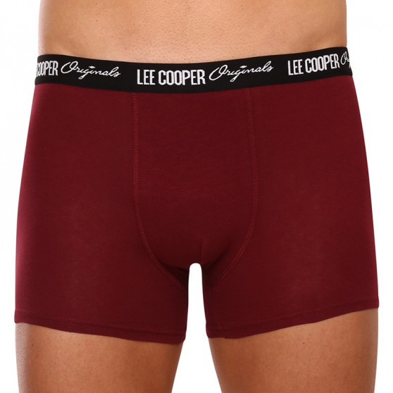 10PACK Boxershorts för herrar Lee Cooper multicolour (LCUBOX10P0105-1769864)