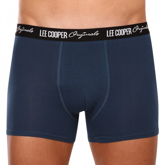 10PACK Boxershorts för herrar Lee Cooper multicolour (LCUBOX10P0105-1769864)